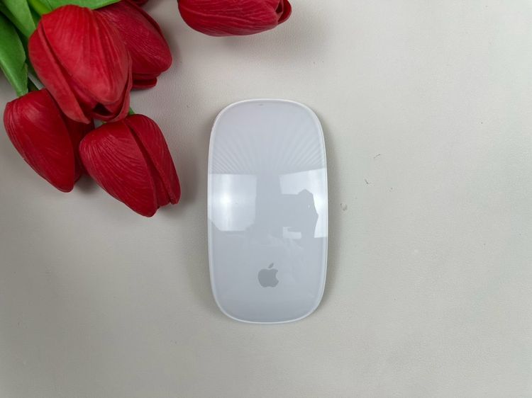 Apple Magic Mouse2 (Lightning)