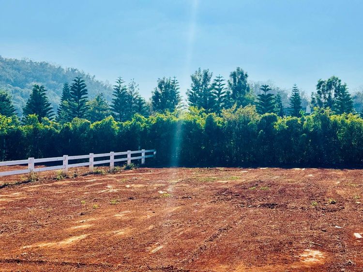 ขายที่ดินเขาใหญ่ วิวภูเขาลูกโตๆ วิวเขาชัด ลมเย็นสบายทั้งปี วิวภูเขา 360 องศา  รูปที่ 3