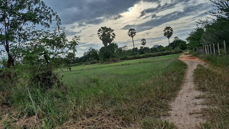 ขายที่ดิน 1 ไร่ ตำบลชะอำ อำเภอชะอำ จังหวัดเพชรบุรี (งดนายหน้าเพิ่มครับ)