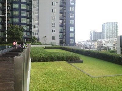 Sansiri ตกแต่งครบ คอนโดทำเลสวย ใกล้ BTS อ่อนนุช โครงการ The Base Sukhumvit 77 วิวสูง สวย    Free maintenance fee for 1 yearCondo with Foreign quota available รูปที่ 3