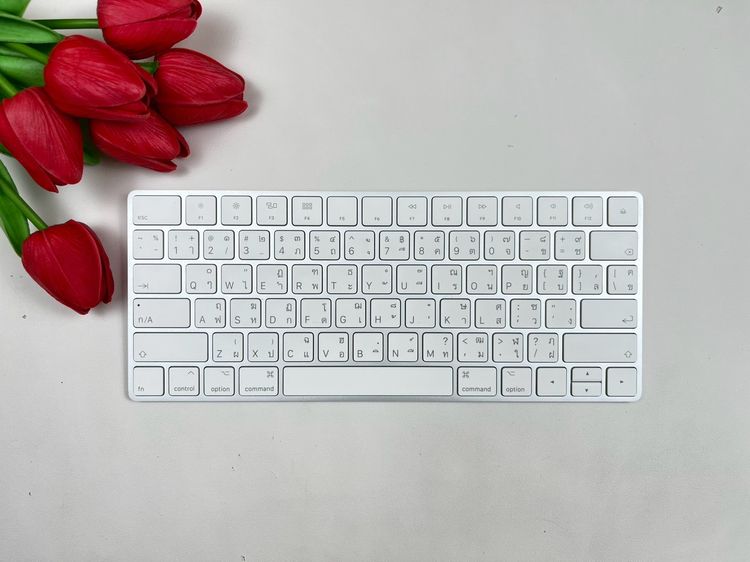 Apple Magic Keyboard 2 (Lightning)
