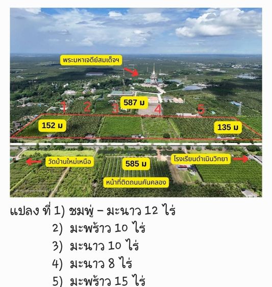 ขายที่ดินสวน  ติดหลังวัดหลวงพ่อสด ด้านหน้าติดถนนคลองชลประทาน อำเภอดำเนินสะดวก จังหวัดราชบุรี