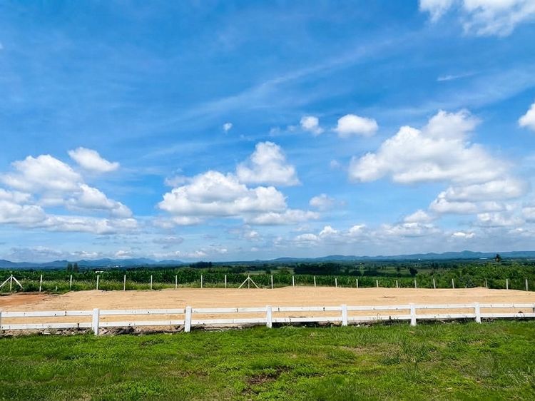 ขายที่ดินแปลงสุดท้าย วิวภูเขา วิวสวย อากาศอากาศบริสุทธิ์ทั้งปี ปากช่องเขาใหญ่  รูปที่ 3