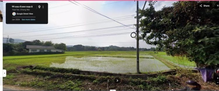 ขายที่ดิน(ราคาถูก) สวยมาก สันกำแพง เชียงใหม่