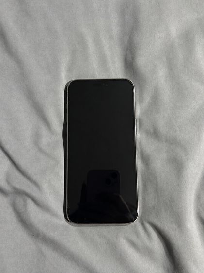 iPhone  14 Pro Max
