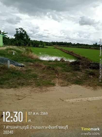 ขายที่ดิน 362 ตร.ว. ติดถนนหลัก ใกล้ถนน 331 เพียง 300 เมตร ที่ดินทำเลดีในแหล่งชุมชน ต.ท่าบุญมี อ.เกาะจันทร์ จ.ชลบุรี