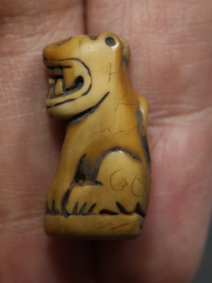 หลวงพ่อปาน วัดคลองด่าน จ.สมุทรปราการ รูปที่ 6