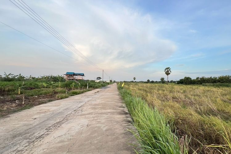 ที่ดินผ่อนได้ ติดถนนคอนกรีต คลอง 11 ใกล้ถนนหลักคลองหลวง - หนองเสือ มีเพื่อนบ้าน รูปที่ 4