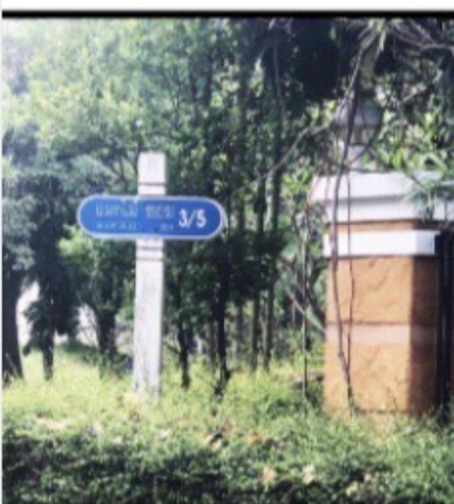 ขายที่ดินเปล่า 130 ตร.ว. หมู่บ้านแมกไม้ ซ.รามอินทรา 103-3 ทำเลดี บรรยากาศร่มรื่น ใกล้  BTS บางชัน รูปที่ 2
