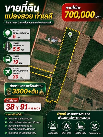 ขายบ้านสวนยางพารา 3500 ต้นเนื้อที่ 38 ไร่ 91 ตารางวา