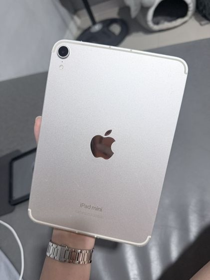 ipadmini