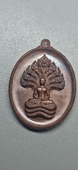 เหรียญพระนาคปรก รุ่น พระนาคประทานพรรวย ปี 2567 หลวงปู่ศิลา 