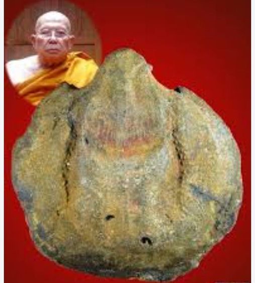 คตเต่าแท้ หลวงปู่สุภา พระเครื่องพระบูชาเครื่องรางของเก่าสะสม รูปที่ 4