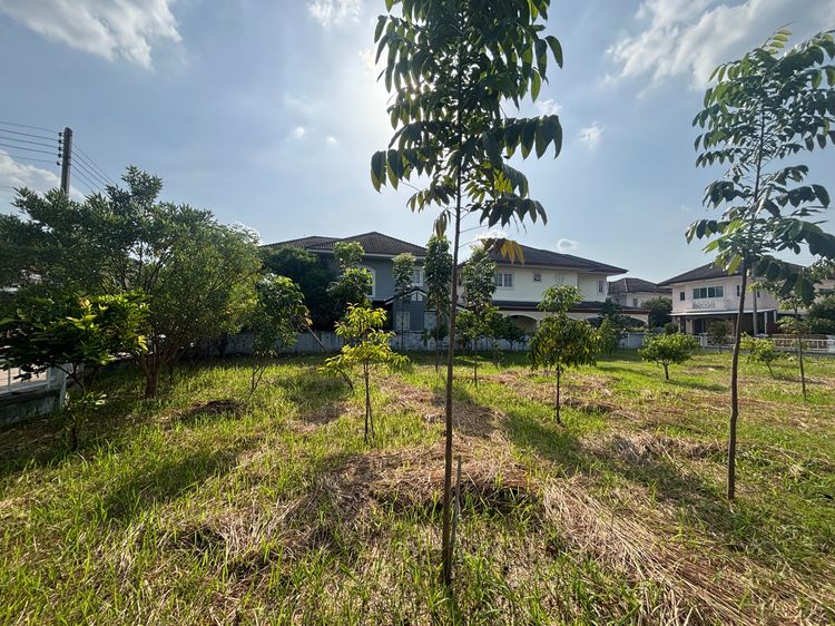 ที่ดินแปลงสวย บ้านฟ้าลากูน