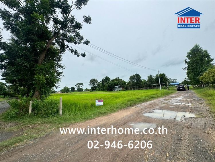 ที่ดินเปล่า 2 ไร่ 200 ตร.ว. หมูบ้านบัว บ้านบัว บ้านลำดวน ถนนบุรีรัมย์-นางรอง 218 ถนนบ้านบัว-กระสัง เมืองบุรีรัมย์ บุรีรัมย์ รูปที่ 3