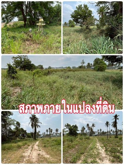 ขายที่ดินศรีราชา ชลบุรี13ไร่ ทำเลดีเหมาะทำโรงงาน คลังสินค้า Logistic รูปที่ 2