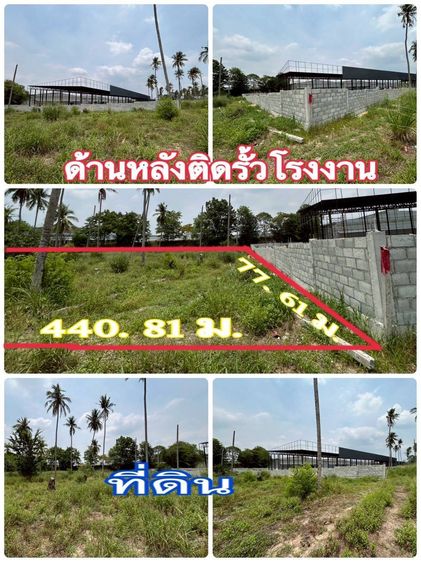 ขายที่ดินศรีราชา ชลบุรี13ไร่ ทำเลดีเหมาะทำโรงงาน คลังสินค้า Logistic รูปที่ 3