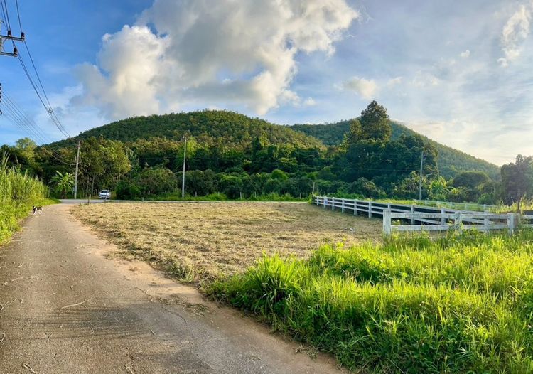 ที่ดินวิวภูเขา โฉนดครุฑแดง ออนใต้ สันกำแพง เชียงใหม่ รูปที่ 3
