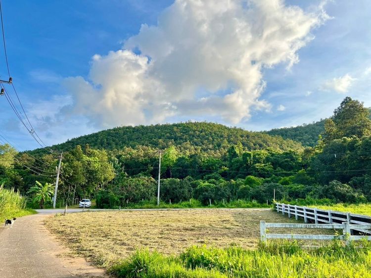 ที่ดินวิวภูเขา โฉนดครุฑแดง ออนใต้ สันกำแพง เชียงใหม่ รูปที่ 4