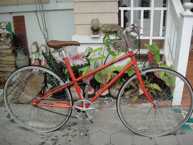 fisherจักรยานทัวร์ริ่ง เฟรมโคโม ซิงเกิลสปีด ล้อ 700c