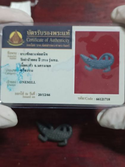 จระเข้หลวงพ่อสนิทวัดลำบัวลอย