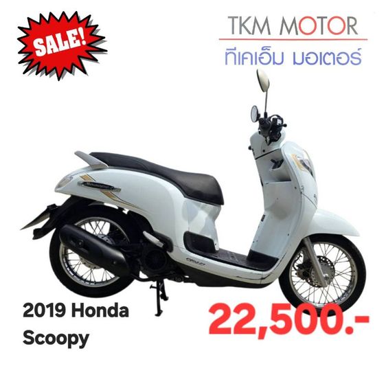 ขายด่วน honda scoopy  ปี 2019