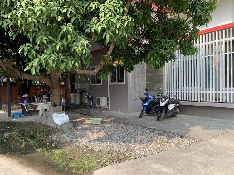 ขายบ้านเดี่ยว 2 หลัง พร้อมที่ดิน 1 ไร่ 1 งาน 83 ตรว ใจกลางเมืองระยอง 9.2 ล้าน รูปที่ 3