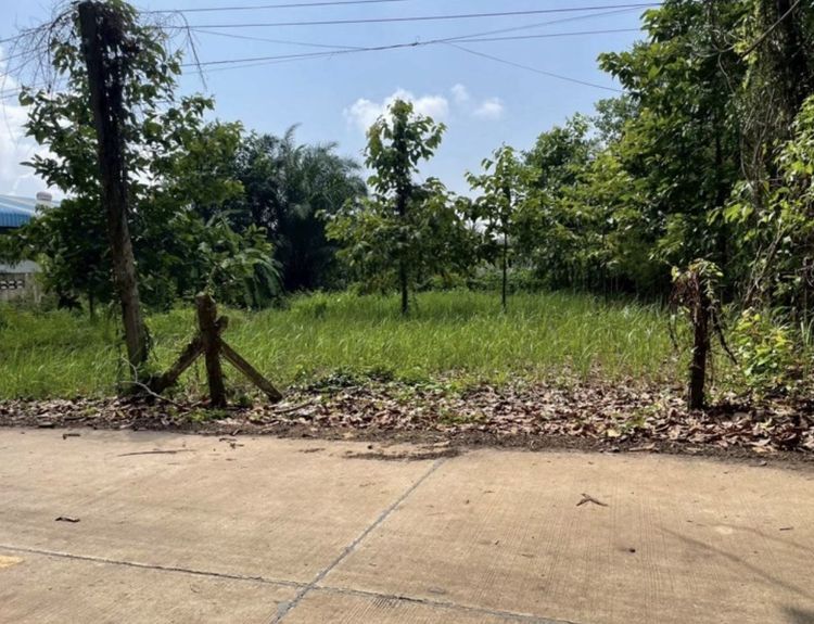 ขายที่ดิน 200 ตรว ติดถนนสาธารณะ ใกล้หาดแม่รำพึง 3 นาที ตะพง ระยอง 2 ล้าน รูปที่ 3