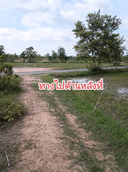 ที่นาโคราช รูปที่ 3