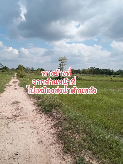 ที่นาโคราช รูปที่ 4