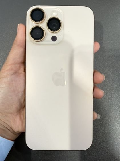 256 GB iPhone 16 Pro Max 256GB