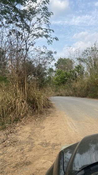 ขายที่ดินถูกวิวสวย วังน้ำเขียว เหมาะสร้างที่พักอาศัย บ้านพักตากอากาศ 1-11 ไร่
