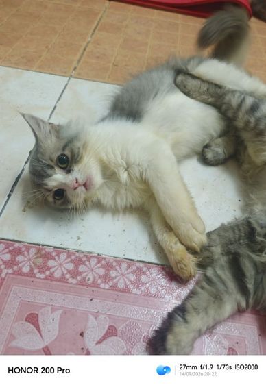 น้องจูรี่​สาวน้อยน่ารัก รูปที่ 6