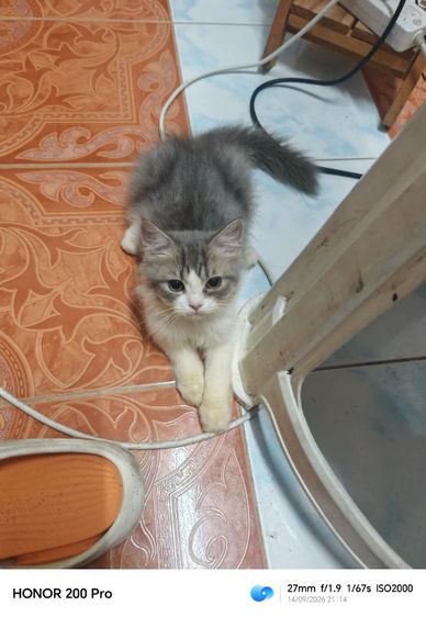 น้องจูรี่​สาวน้อยน่ารัก รูปที่ 2