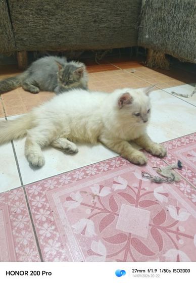 น้องแคเทอรีนสาวน้อยน่ารัก รูปที่ 2