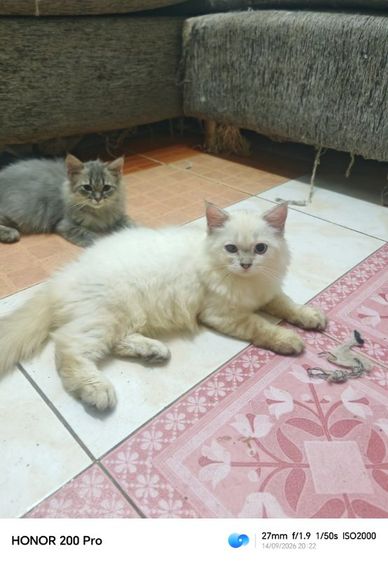 น้องแคเทอรีนสาวน้อยน่ารัก