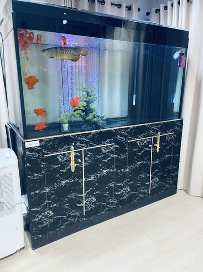 อุปกรณ์ตู้ปลา ตู้ปลา 72 x 30 x 36 นิ้ว (ยาว 72" x ลึก 30" x สูง 36")