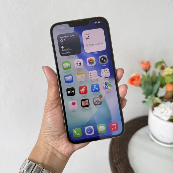 iphone 13 pro max 256g