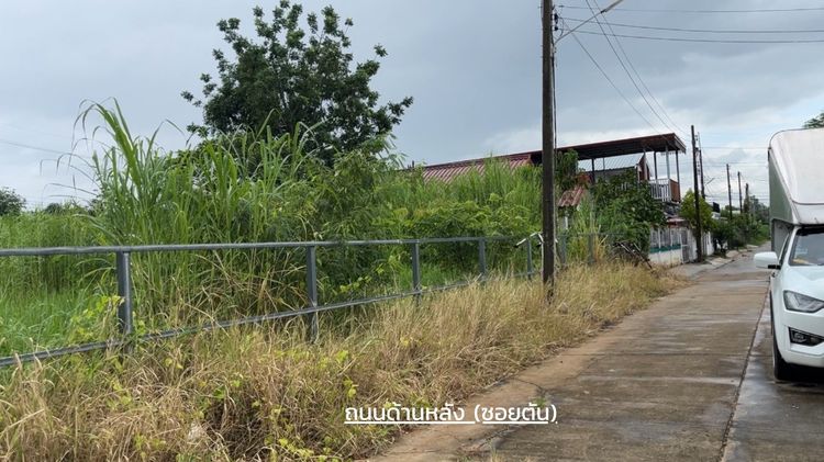 ที่ดินเปล่า ถมแล้ว รูปที่ 3