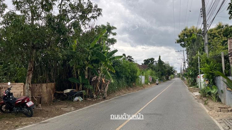 ที่ดินเปล่า ถมแล้ว รูปที่ 2