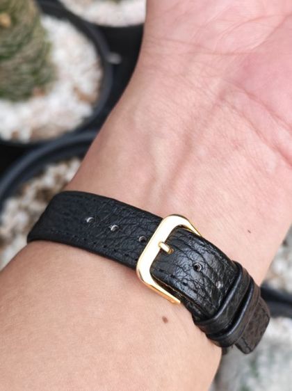 นาฬิกา Vintage Bulova Longchamp แบ่งปันราคาดีที่สุดครับ รูปที่ 16