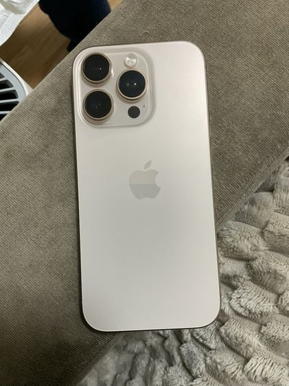 16 Pro 256(GB)