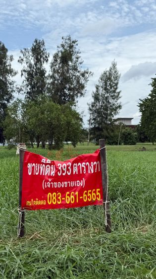 ที่ดินหมู่บ้าน วินมิลด์