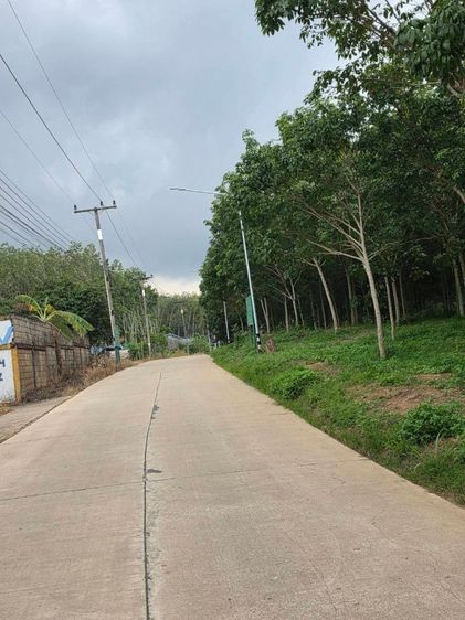 ขายที่ดิน 5 ไร่ มีโฉนด ทำเลดี จังหวัดระยอง ใกล้แหล่งท่องเที่ยวบ้านเพ-เกาะเสม็ด รูปที่ 4