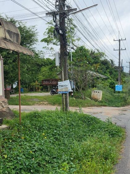 ขายที่ดิน 5 ไร่ มีโฉนด ทำเลดี จังหวัดระยอง ใกล้แหล่งท่องเที่ยวบ้านเพ-เกาะเสม็ด รูปที่ 3