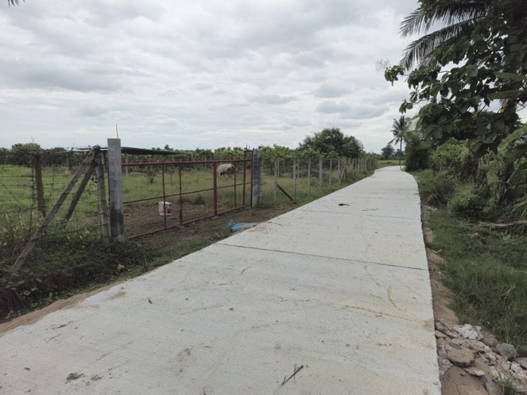 ขายที่ดินทำเลสวยๆ เหมืองแก้ว-แม่ริม  ติดกับถนนวงแหวนชนบทเชียงใหม่รอบ 4 รูปที่ 3