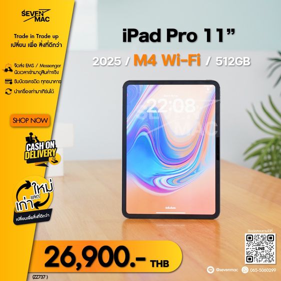 iPad Pro 11” M4 2025 Wi-Fi 512GB