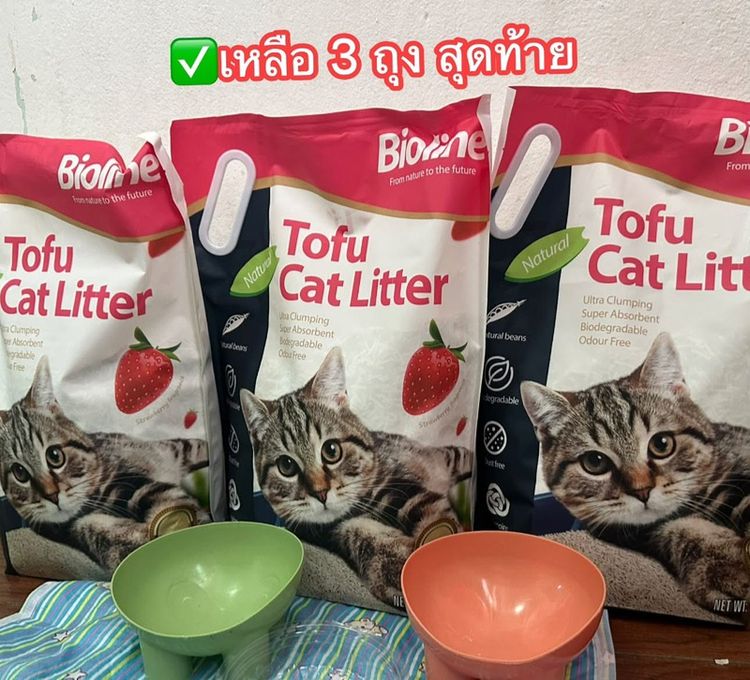 ทรายเต้าหู้