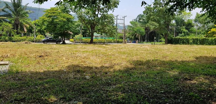 🏔️ขายที่ดินเขาใหญ่ อยู่ในโครงการ Velaa Moon Dance ติดถนนธนะรัชต์ ✨ที่ดินโฉนดครุฑแดง พร้อมโอน ไม่ต้องลุ้น พร้อมให้คุณเป็นเจ้าของทันที  รูปที่ 2