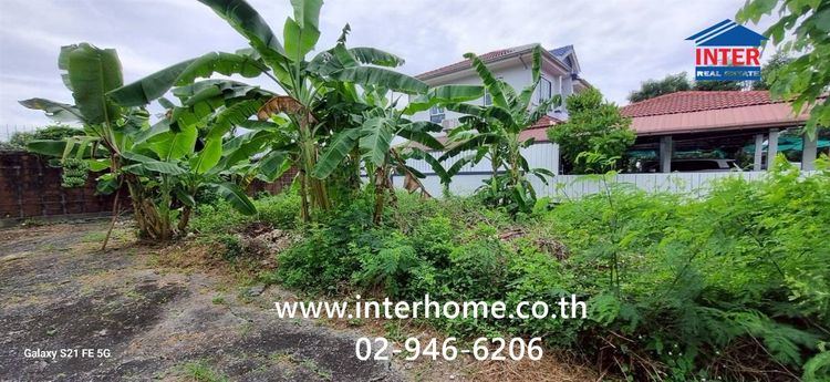 ที่ดินเปล่า 69.9 ตร.ว. ที่ดิน หมู่บ้านชัยพฤกษ์1ลาดกระบัง ซอยคุ้มเกล้า7 ถนนคุ้มเกล้า ถนนสุวินทวงศ์ ถนนเจ้าคุณทหาร เขตลาดกระบัง กรุงเทพมหานคร รูปที่ 4